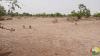 site niwadji 2